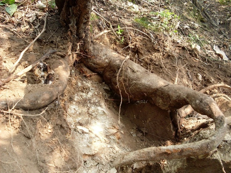 1753255726959213.jpg ABUIABACGAAglcmIwgUo2Mvq0QEwiAU45gM_副本.jpg