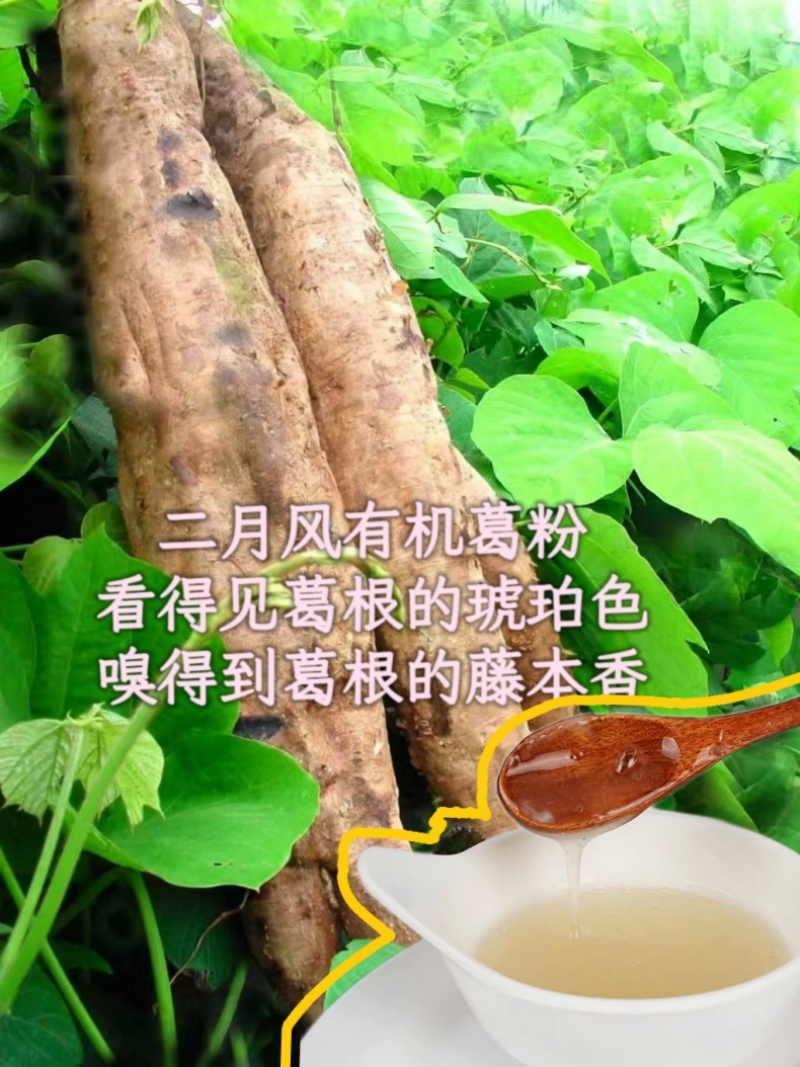 二月風(fēng)有機(jī)葛粉，看得見葛根的琥珀色，嗅得到葛根的藤本香_800.jpg
