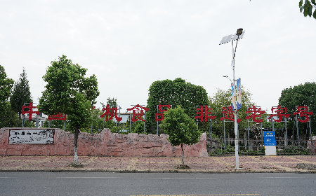 當(dāng)定制葛粉時(shí)，我們真正在選擇什么？