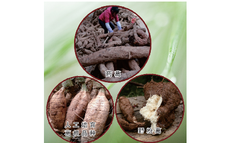 買葛粉是買野生的好？還是野生有機的好？