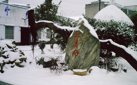 二月風(fēng)致老友：一碗葛根粉的牽掛，農(nóng)博會(huì)上的重逢之約二月風(fēng)盼老友：農(nóng)博會(huì)上，再續(xù)葛粉情緣
