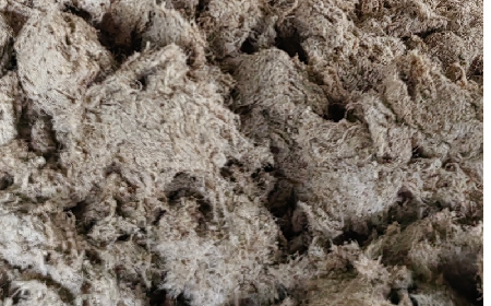 深入大洪山，只為一口純凈 -二月風(fēng)今冬野生葛根收購紀(jì)實